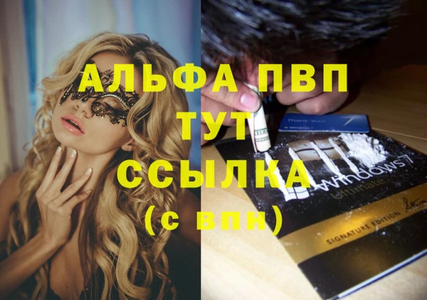 Альфа ПВП Белокуриха
