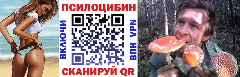 купить наркотик  Семикаракорск  гидра ONION  Псилоцибиновые грибы ЛСД 